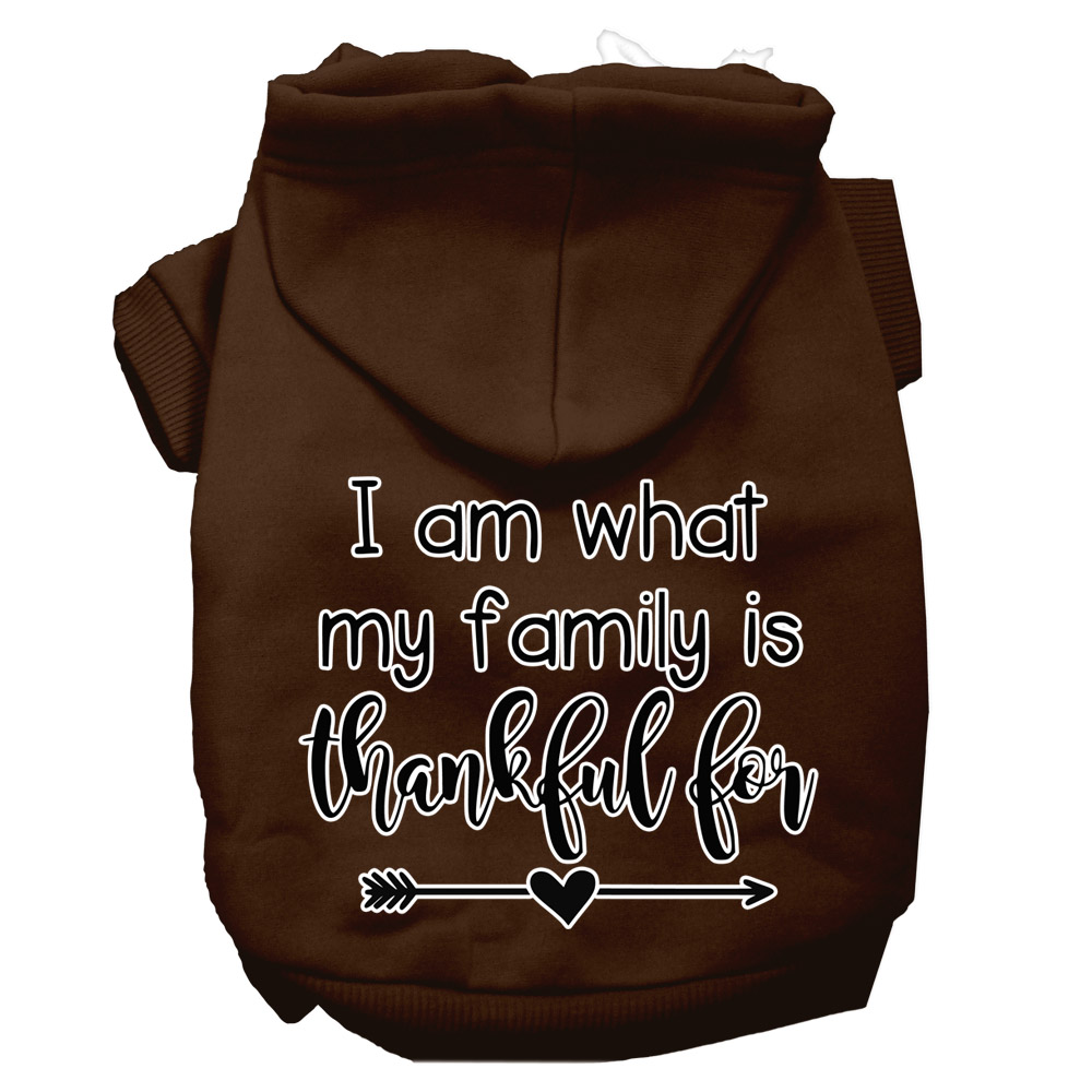 I Am What My Family is Thankful For Screen Print Dog Hoodie Brown XXXL